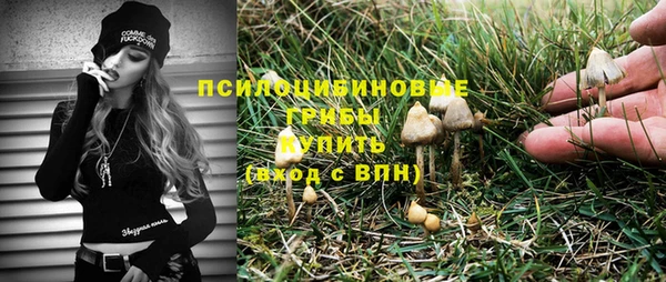 тгк Алексеевка